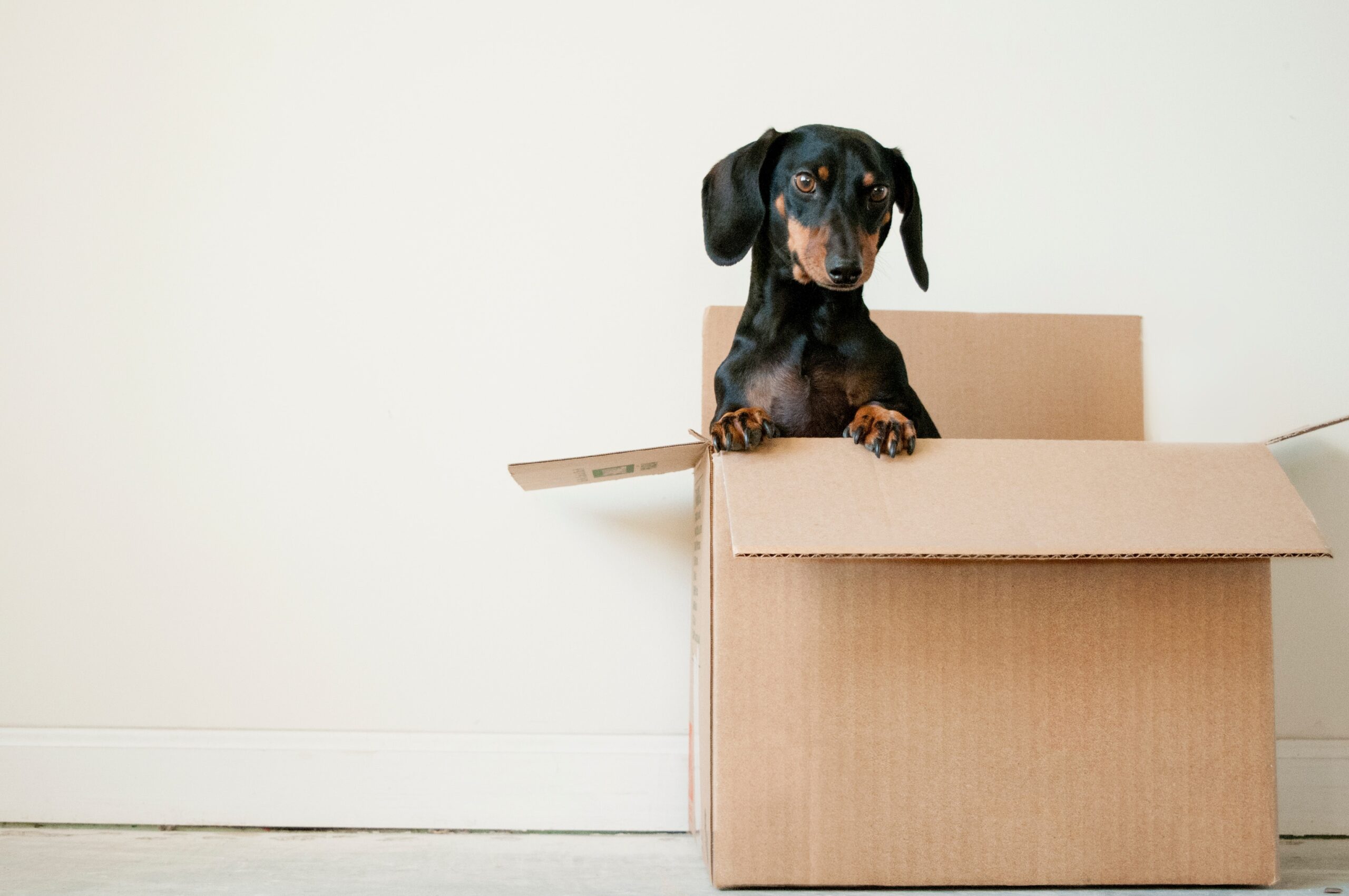 Packing unsplash