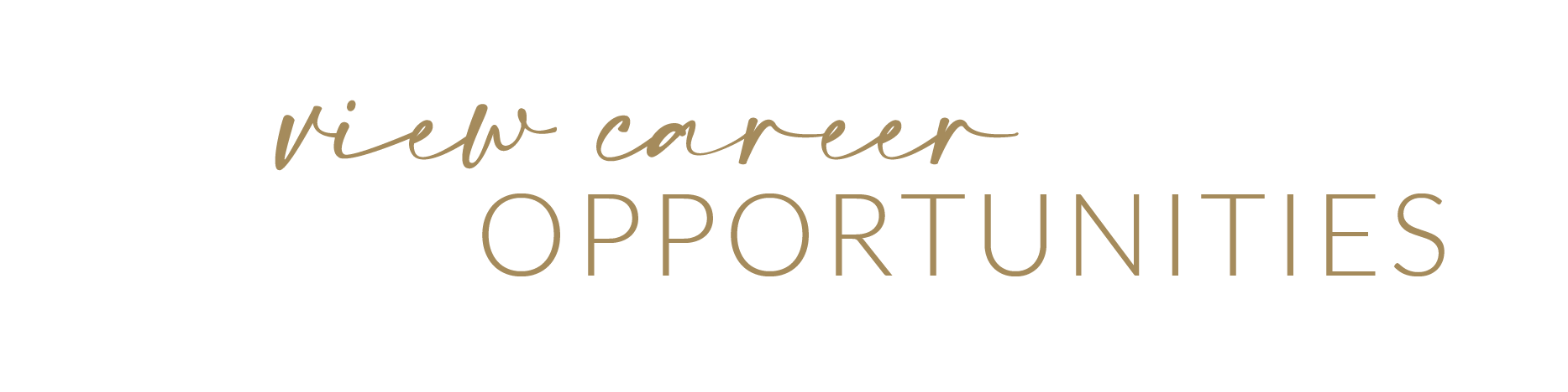 practical haus_career opportunities-10